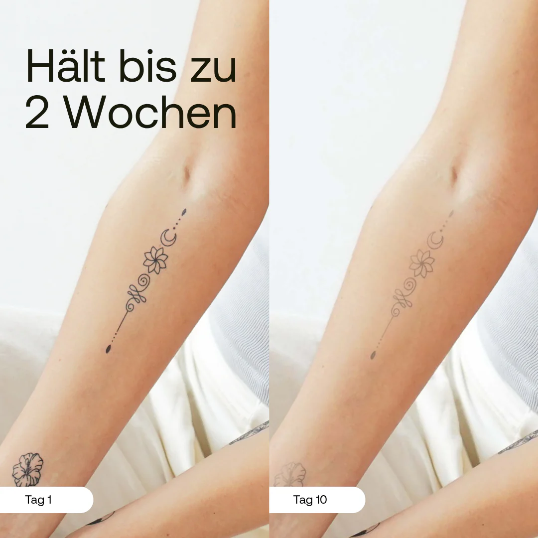 Vorschaubild 2